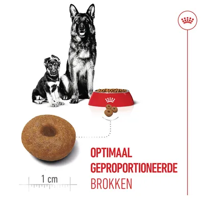 Royal Canin Maxi Starter Mother & Babydog Hondenvoer Royal Canin Maxi Starter Mother & Babydog Hondenvoer