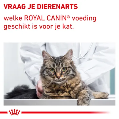 VRAAG JE DIERENARTS welke ROYAL CANIN voeding geschikt is voor je kat.