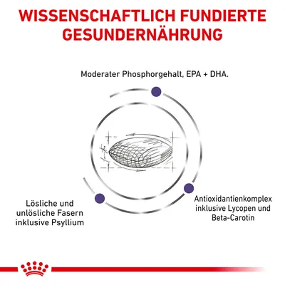 Znanstveno utemeljena zdrava prehrana: zmerna vsebnost fosforja, EPA + DHA. Topne in netopne vlaknine, vključno s psilijem. Antioksidantni kompleks z likopenom in beta-karotenom.