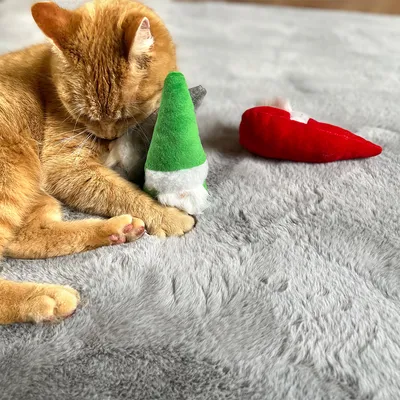 Gatto rosso gioca con gioco di peluche verde e rosso su coperta grigia.