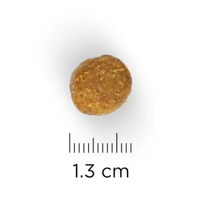 Yksi pyöreä nappula, halkaisija 1,3 cm, mitta-asteikon vieressä