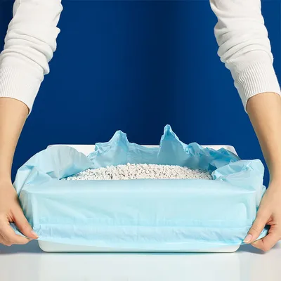 Person befestigt eine blaue Schutzfolie an einer Katzentoilette, gefüllt mit weißem Katzenstreu.