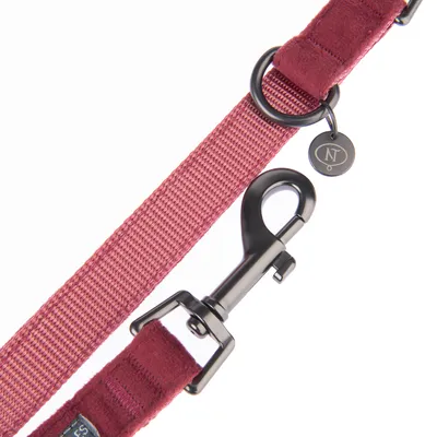 Rode nylon hondenriem met zwarte metalen karabijnhaak en ring, fluwelen detail en hanger met NT-logo.