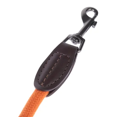 Nahaufnahme einer Hundeleine mit orangefarbenem Stoffband, brauner Lederverstärkung und schwarzem Metallkarabinerhaken.