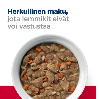 Herkullinen maku, jota lemmikit eivät voi vastustaa. Kulhossa lihapaloja kastikkeessa, mukana porkkanan ja riisin paloja.