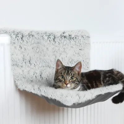 Katteseng af grå plys, fastgjort til en radiator. Tabbykat ligger afslappet på den.