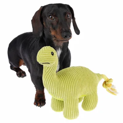 Hund neben grünem Dinosaurier-Spielzeug aus Stoff mit gestreifter Textur und geflochtenem Schwanz.