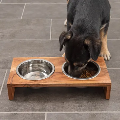 Holz-Futternapfständer mit zwei Edelstahl-Näpfen, ein Napf gefüllt mit Trockenfutter. Hund frisst aus dem Futternapf.