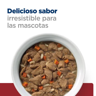Texto: Delicioso sabor irresistible para las mascotas. Plato blanco con comida húmeda, trozos de carne, zanahoria y arroz visibles.