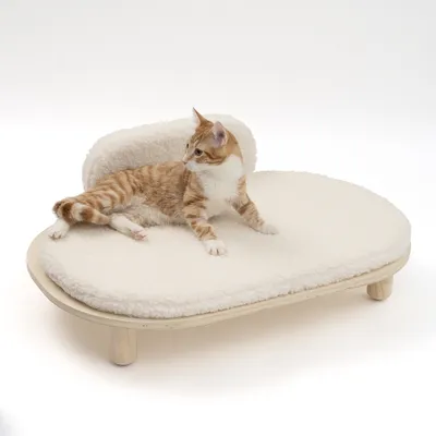 Katzenbett mit Holzrahmen und weicher, weisser Polsterung. Roter Kater liegt entspannt darauf.
