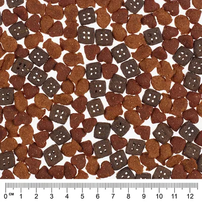 Nahaufnahme von braunen und dunklen Trockenfutterstücken in Herz- und Quadratform mit Lineal zur Grössenangabe in Zentimetern.