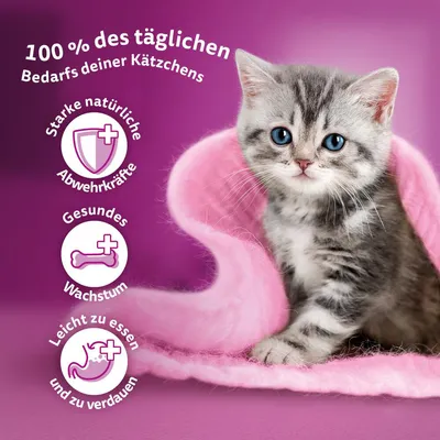 100 % des täglichen Bedarfs deiner Kätzchens. Starke natürliche Abwehrkräfte, gesundes Wachstum, leicht zu essen und zu verdauen.