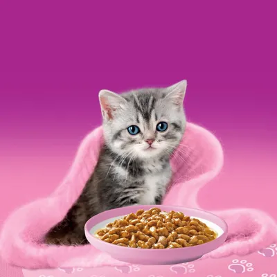 Whiskas Junior tasakos 12 x 85 g Whiskas Junior tasakos 12 x 85 g