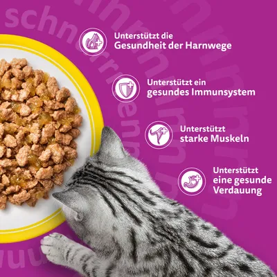 Multipack Whiskas Senior Frischebeutel 12 x 85 g