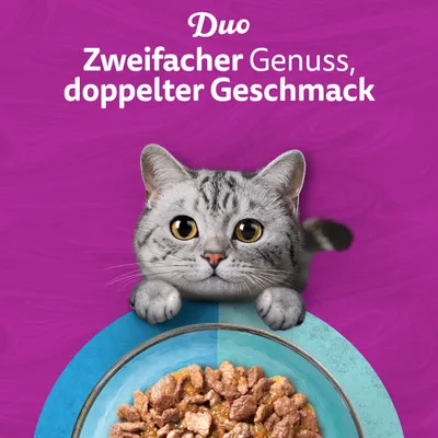 Jumbopack Whiskas Duo Portionsbeutel 144 x 85 g