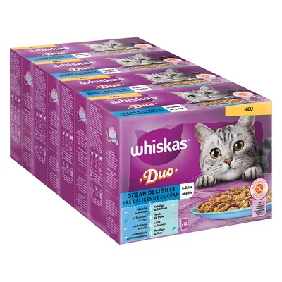 Whiskas Duo Ocean Delights в желе, упаковка из 12. Виды: лосось, тунец, белая рыба. Новая маркировка. На упаковке изображены кошка и миска с кормом.