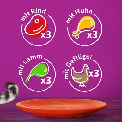 Vier Sorten: mit Rind x3, mit Huhn x3, mit Lamm x3, mit Geflügel x3. Illustration auf violettem Hintergrund.