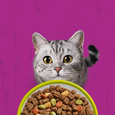 Whiskas 1+ bárány