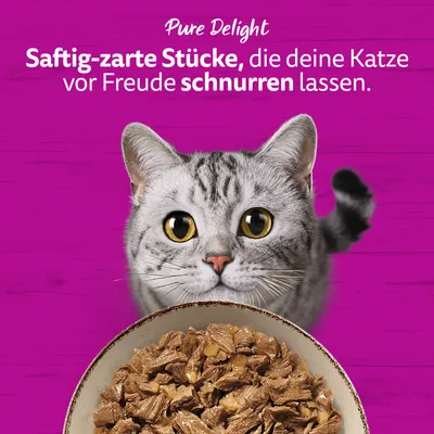 Megapack Whiskas 1+ Marmiton 144 x 85 g pour chat Megapack Whiskas 1+ Marmiton 144 x 85 g pour chat