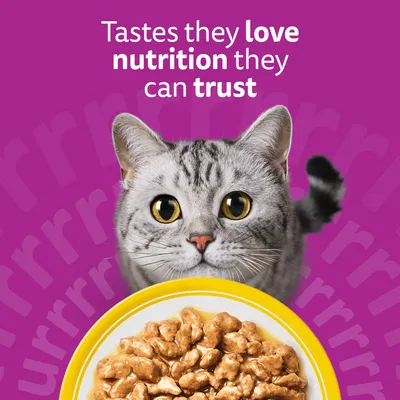 Whiskas 1+ Poultry Feasts in Gravy Whiskas 1+ Poultry Feasts in Gravy