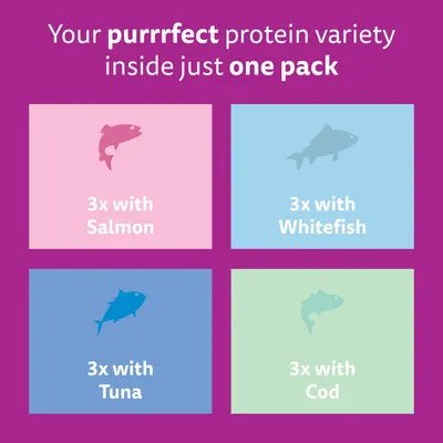 Whiskas Kitten Pouches in Jelly - Multibuy: Fish Selection in Jelly (48 x 85g) Whiskas Kitten Pouches in Jelly - Multibuy: Fish Selection in Jelly (48 x 85g)