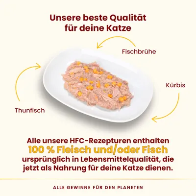Sparpaket Almo Nature HFC Complete 24 x 70 g