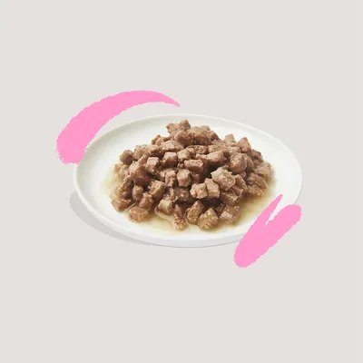 Wit bord met natvoer in blokjes en gelei, geen merknaam of verpakking zichtbaar.