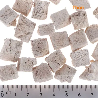 Morceaux de thon lyophilisé en cubes, étiquette visible « Thon » en orange, règle en centimètres pour référence de taille.
