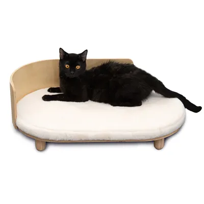 Schwarze Katze liegt auf einem ovalen Holzbett mit weisser Polsterung und erhöhtem Rückenteil.