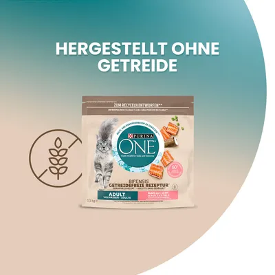Purina ONE Bifensis Adult, recette sans céréales, riche en saumon. Texte allemand visible : 'Hergestellt ohne Getreide'. Paquet de 1,1 kg avec image de chat et morceaux de saumon.