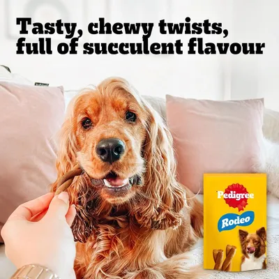 Pedigree Rodeo. Tasty, chewy twists, full of succulent flavour. Dog receives snack, product packaging visible.
