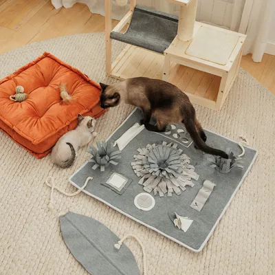 Két macska játszik egy szürke szimat szőnyegen különböző textil elemekkel. A szőnyeg mellett egy narancssárga párna és egy fa kaparófa fekvőfelületekkel.