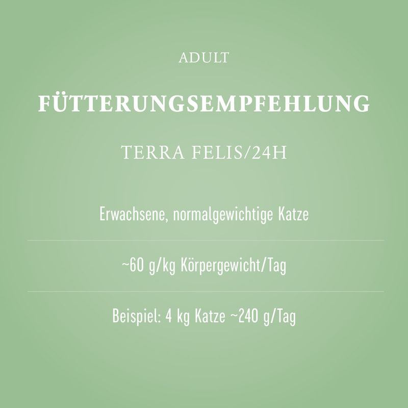 Terra Felis 12 x 80 g