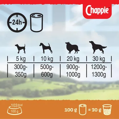 Daily feeding guide showing recommended food amounts by pet weight: 5kg, 300-350g; 10kg, 500-600g; 20kg, 900-1000g; 30kg, 1200-1300g. 103 kcal per 100g. 100g wet equals 30g dry.