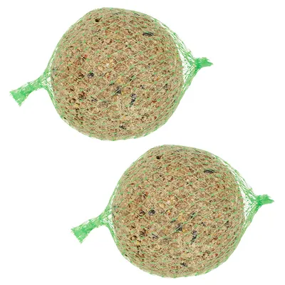 Dva lojové gule v zelenej sieti, vhodné na kŕmenie voľne žijúcich vtákov. Viditeľné zrná a semená v guli.