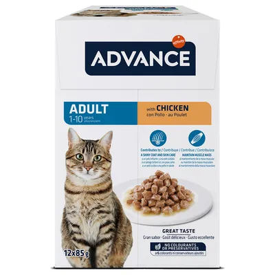 Advance Adult 1–10 ans au poulet, lot de 12x85g. Contribue à un pelage brillant et à la masse musculaire. Sans colorants ni conservateurs ajoutés. Image d’un chat et croquettes en sauce.