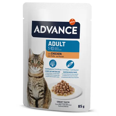 Advance Adult 1–10 years with Chicken, влажный корм для кошек, 85 г. На упаковке изображён кот и тарелка с кусочками корма.