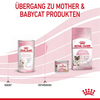 Royal Canin Übergang zu Mother & Babycat Produkten: Babycat Milk für Geburt, Nassfutter und Trockenfutter für Entwöhnung. Altersbereich 0-4 Monate.