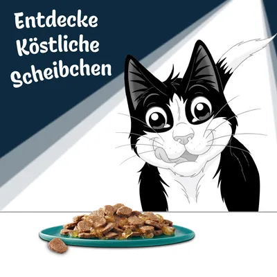 Illustration einer Katze mit Text 'Entdecke Köstliche Scheibchen' und einem Teller mit Fleischscheiben in Soße.