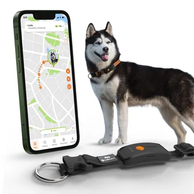 Weenect Pet GPS Dog Tracker XT
