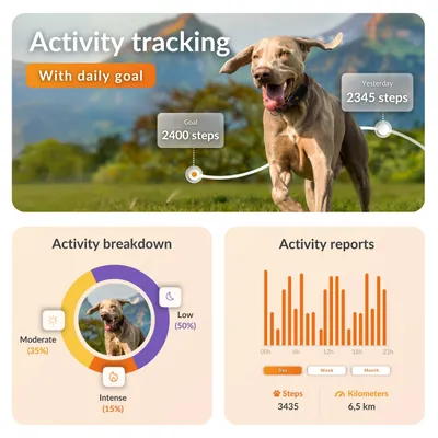 Weenect Pet GPS Dog Tracker XT