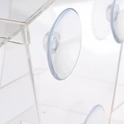 Close-up of transparent suction cups on a clear plastic surface, suitable for attachment.