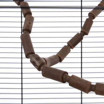 Échelle suspendue composée de segments cylindriques en bois, fixée à une cage à barreaux horizontaux. Bois visible, sans autres éléments ou animaux.