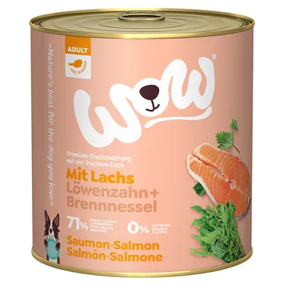 Boîte WOW Saumon, pissenlit et ortie, 71 % poisson, viande et abats, 0 % céréales et gluten, pour chien adulte. Texte en allemand et anglais visible sur l’emballage.