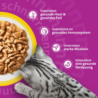 Megapack Whiskas 1+ Adult Frischebeutel 48 x 85 g