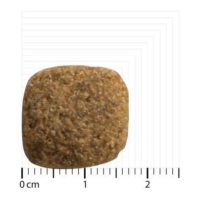 Gros-plan al unei bucăți individuale de hrană uscată cu scară în cm, dimensiune aproximativ 1,5 cm.