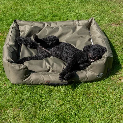Hund liegt entspannt auf einem olivgrünen Hundebett mit robustem Stoff und seitlichem Logo. Bett steht auf einer grünen Wiese.