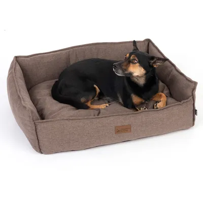 Hund ligger i en brun hundsäng med Modern Living-logotyp på framsidan.