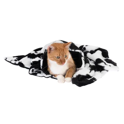 Braun-weisse Katze liegt auf einer schwarz-weiss gemusterten Decke. Produkt zeigt eine weiche Tierdecke mit Kuhfellmuster.