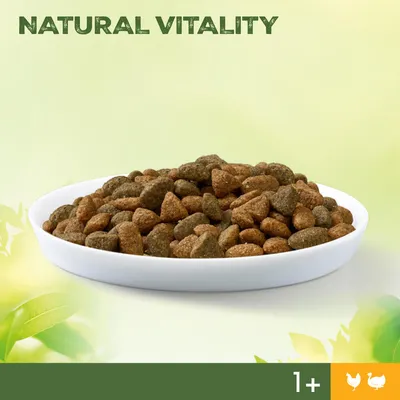 Croquettes dans une assiette blanche, texte visible : NATURAL VITALITY, pictogrammes poulet et dinde, indication 1+ en bas à droite.